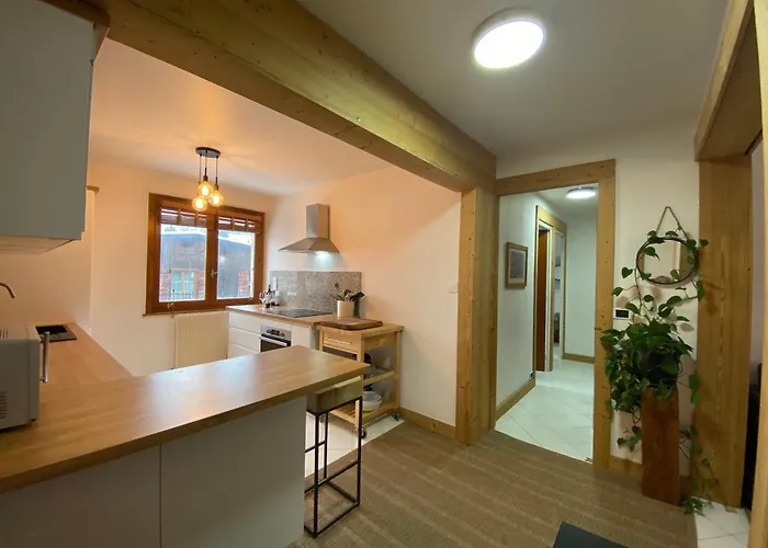 Brise Du Mont Apartment Chamonix