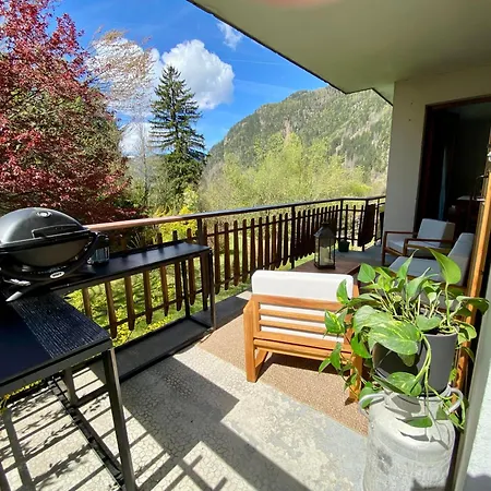 Brise Du Mont Chamonix