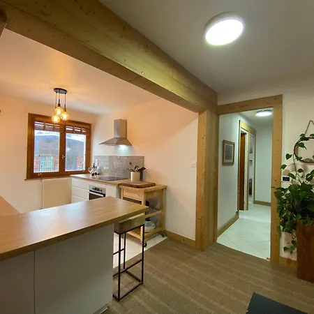 Brise Du Mont Apartman Chamonix