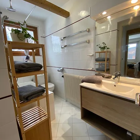 Brise Du Mont Apartman Chamonix