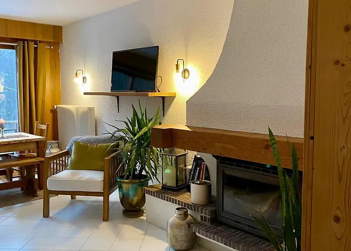 Appartement Brise Du Mont Chamonix