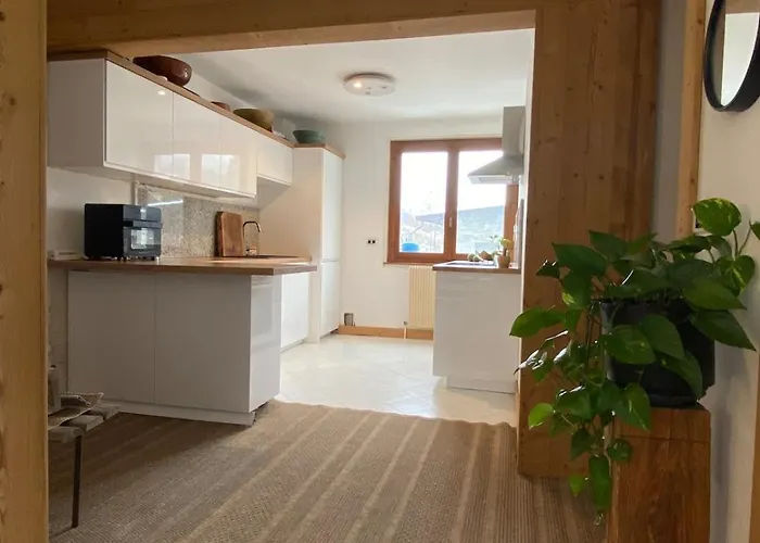 Appartement Brise Du Mont Chamonix