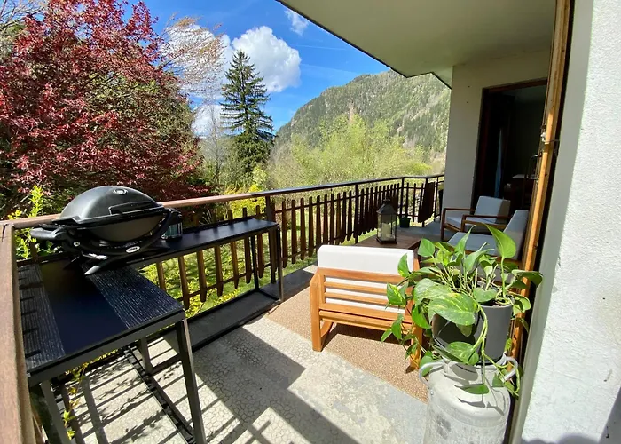 Brise Du Mont Chamonix